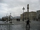 IMG_1042.jpg